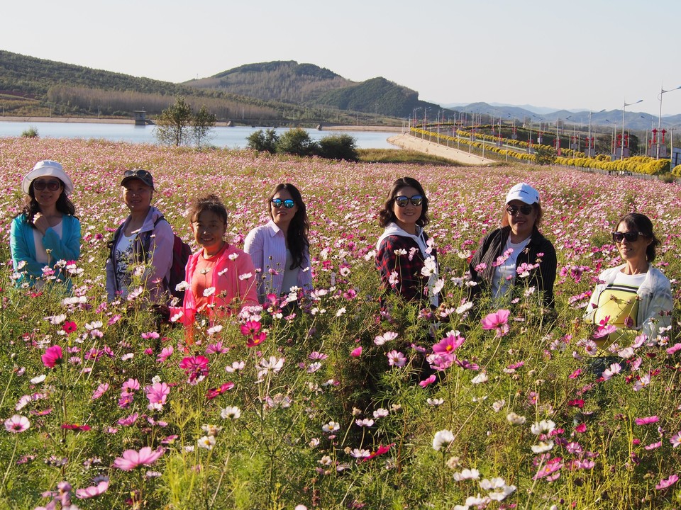 TTaDSSGE9Yv65yy6BWG8PN98EpUd5prePDVgUuueOK9ezw0vv6EkgdxgMsmTFbYi