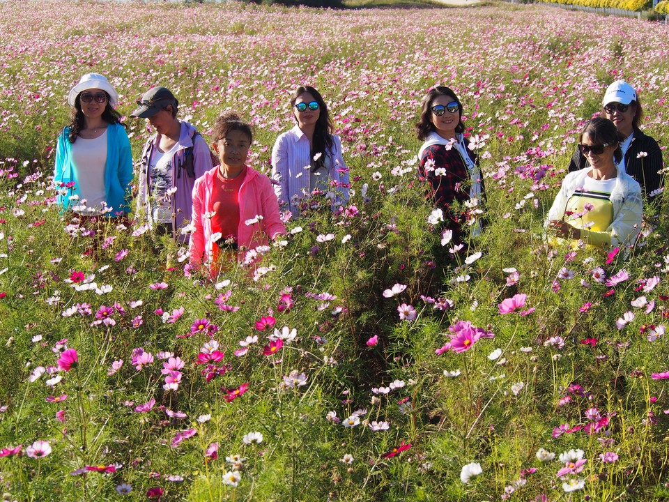 aJGGnh__DxYEb-nihZNrPorUUKXWNSUS5G8mLjfT94nP5p_McNShyDwq0ZhZJQNE