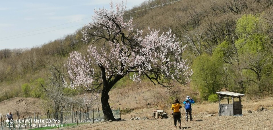 swXxryhm9NOgT9gpqnmHTI-toFAhRdx_OmG0kAn_0E-k0Sk931fPmezAcODNsbAn