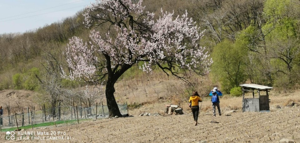 VjfbhPLslORVOjJwHySN_xtXH-fQXH8VeWwf66Aw5G6Fo206rdlccPFX-9y7yJUb