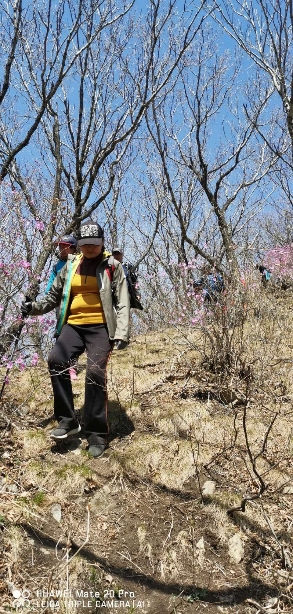 fu8a8WC9Kz-nZliUXxyqZhv5pp9-gUwdwNaiEcbeDVhjyEQJMX68Z-EeFoTUroj9