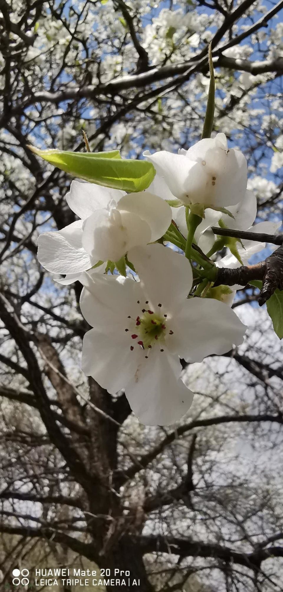 IaRZAzYtnlrMW05Af8jGne2MMpr1QtXvtY_Pz92TGWqcy4OX2pHNN9MO--ZSBkS2