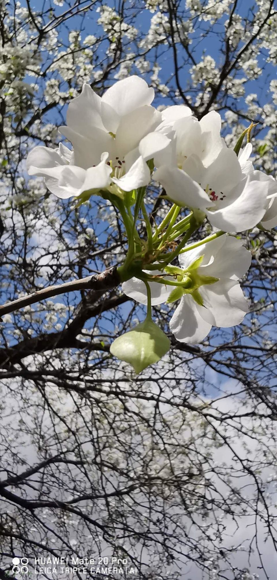 bKT6XmqywXVdr5E5xVbdXgyEHNvDh9YRychkzaMjgG8MlUjuDvvOsJU1UAXYCYn8