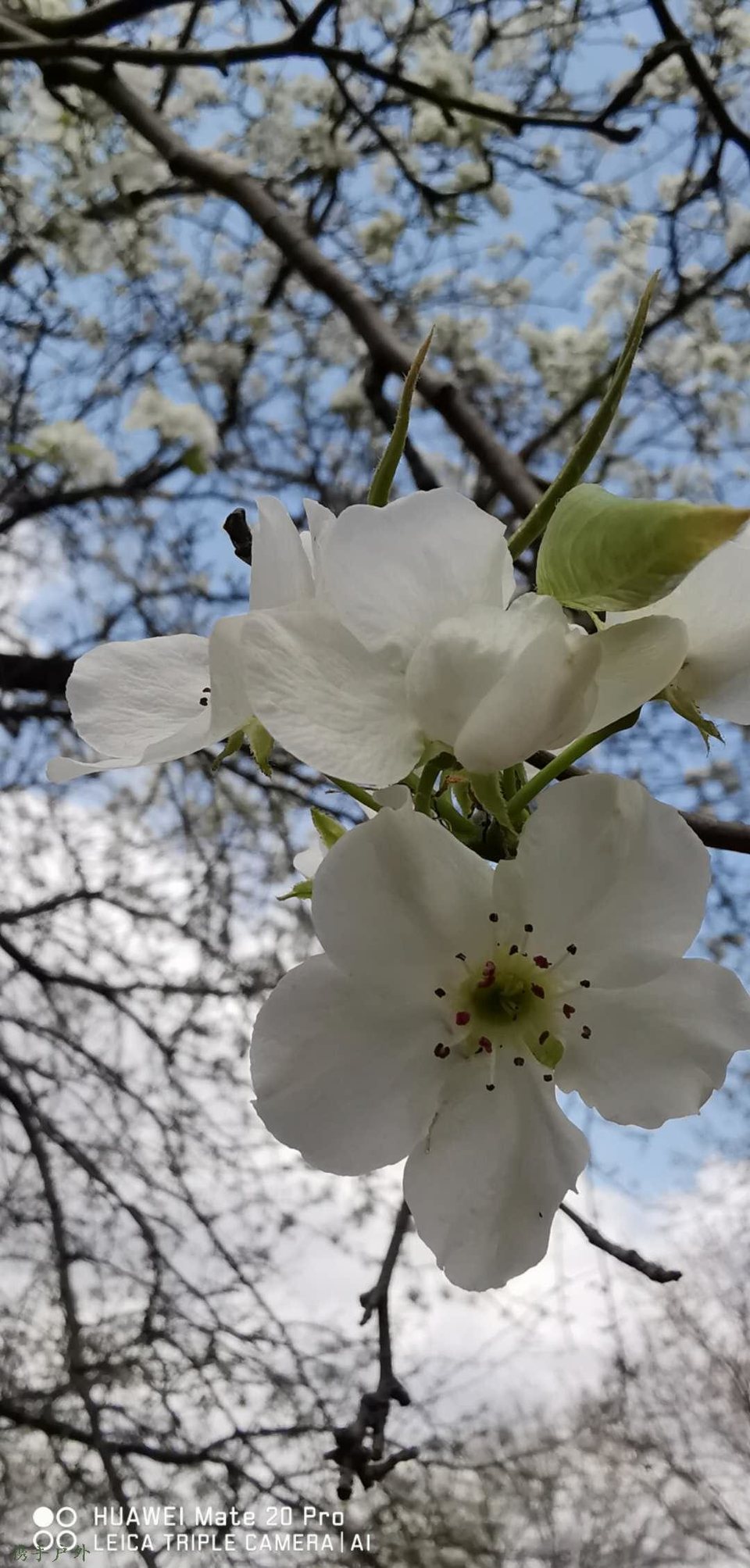 zgJfTC3QQGzmfahlCVZd6l9BN9o-Y1Ow2pDYlqNg-IRXBD1phBu84HFN_z_5oDDd