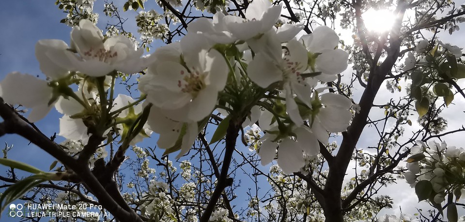 4ffTLiXgrHGIsetGbRNuS6GcW-a-zdqf1Nev6BqIXogELl4raGwdB60o1lJhhwuO