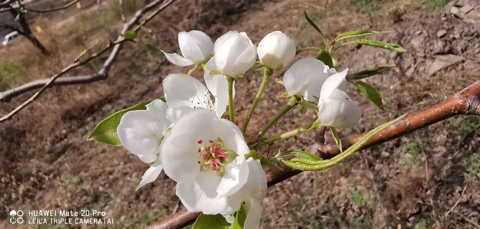 jMVmymdLpOtjsjFnKKRNx7MsKB1Mv_sufWK8r9MW3aHdUpknzKCt41_av-vYsmYt