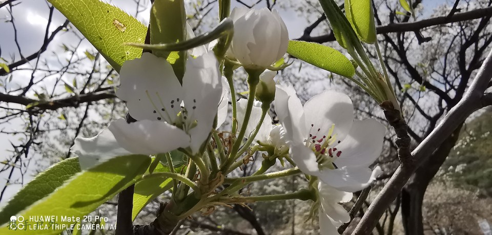 PbA-y5PBPNFOduLswGTy1NnwTU-jQ0f-0rZ52DhKPFEZKecbXUUIkhLbki9-ILPO