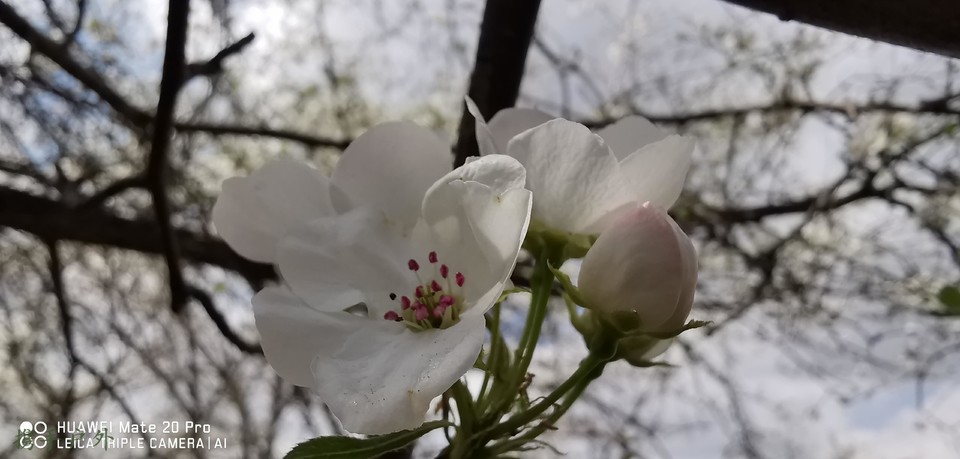 BTbCGxTTs4odRlaHeY6K5PXpHyGafmgMuagqsklLiXtUr8mIEVdnbO85GV92rHzq