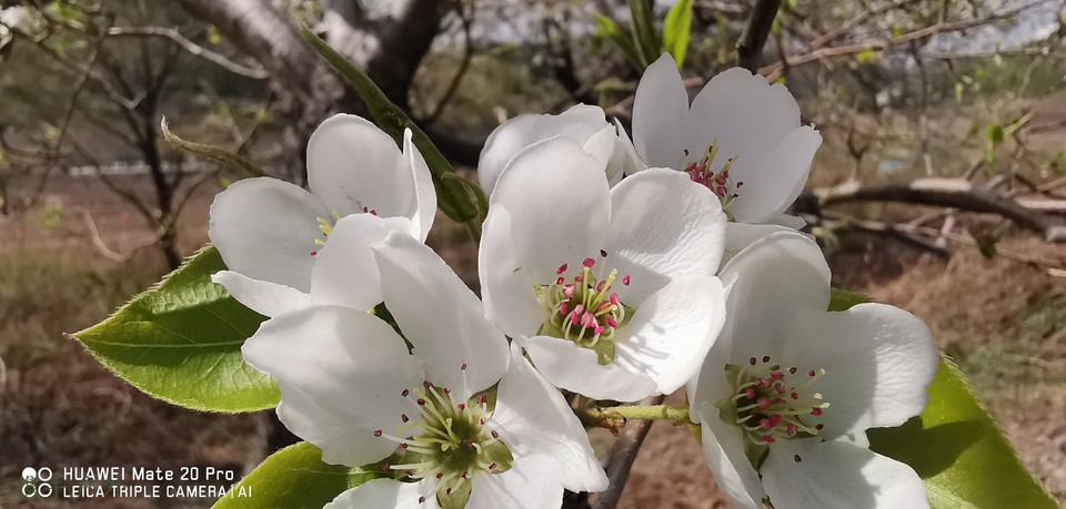 Z3_iTNrUW75HnHg85Q7i5mELFyWNroNDu6rPZzXpnVBgsx5hCR68jgm8RJkiBKnd