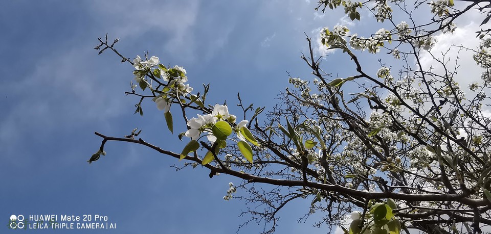 VW3SssjcduVSvj61fsdUdopsoXVZyO7E6jZHqZwr4C4KANav0IpCzHA5gdAxtYTq