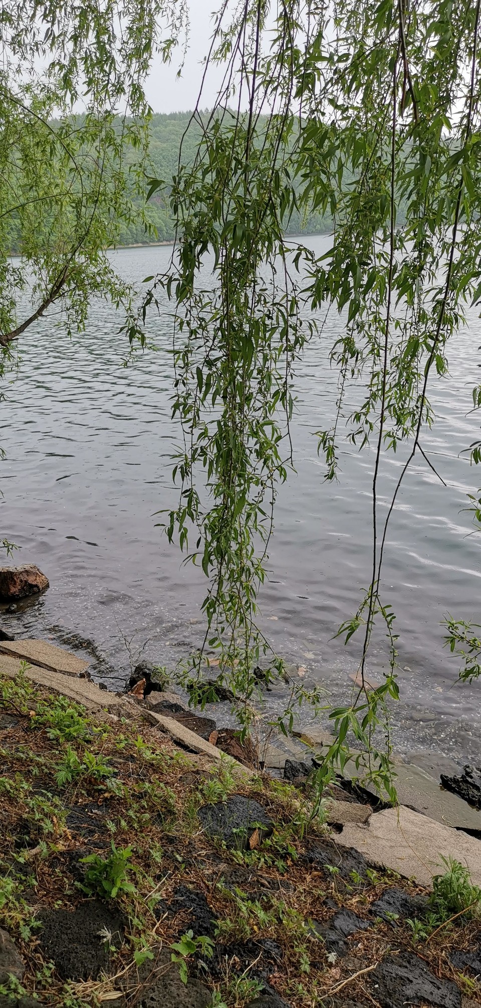 S5cKoLK_l_YU0YbEXP7c8D5p0gLqKXapj7yQIOLCc7wxK6XKNPrrj1VIJ6GNpD0t