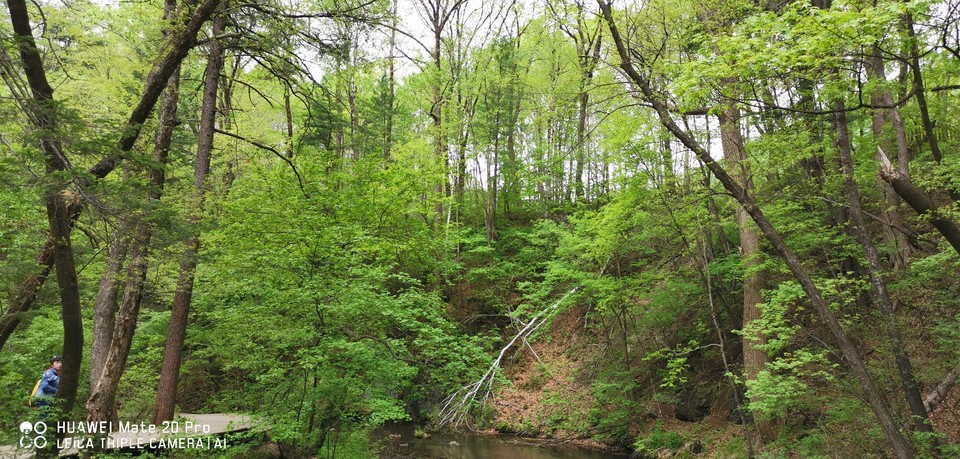 Y05zYgD8mtvLm5ChwBT5kwDMi8a4Re30CWYhOUL5Bz8zUCOwvcd8daoYZuvZVhAm