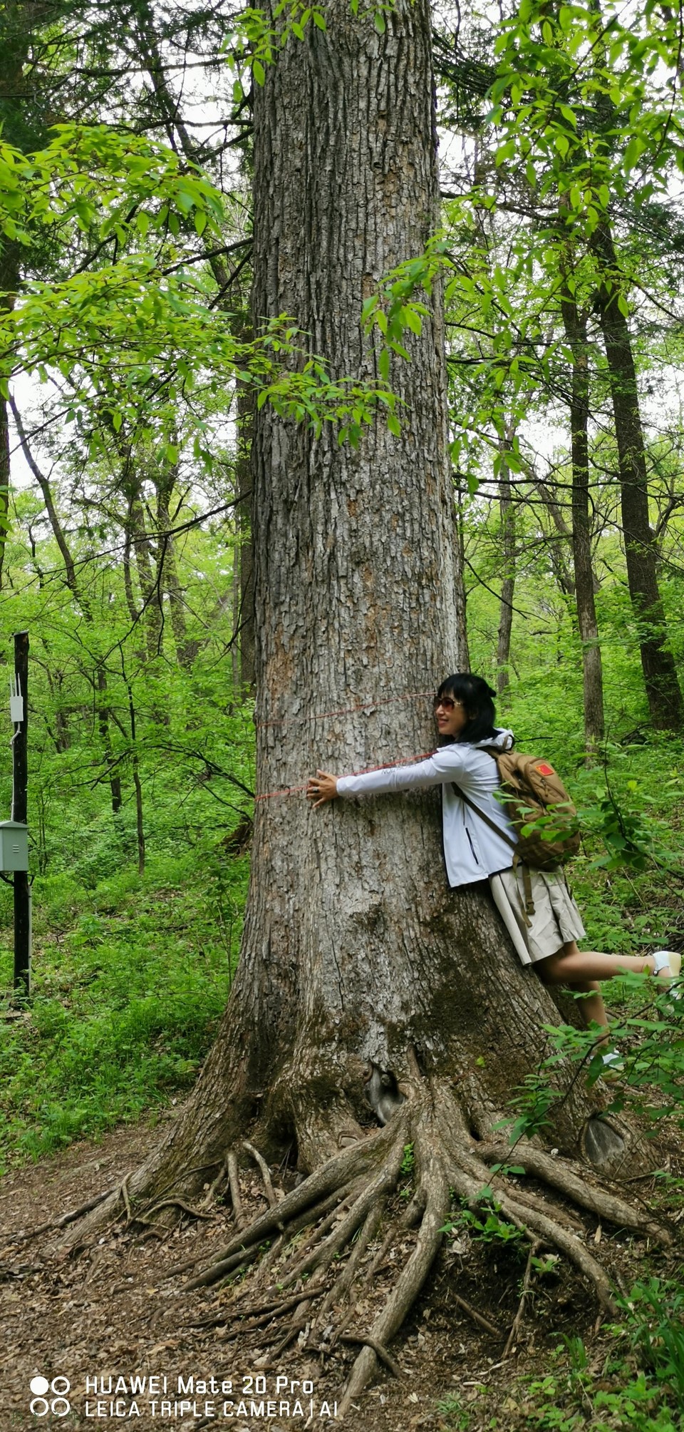 TP_FJXf-ci2Swk8fEocIodDpowbbu7XRNXMrXR6MlgculUOWfh8yZmTWiee941sx