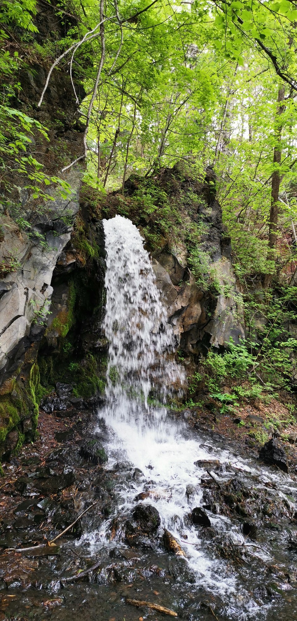 W63iHbA4a1FY53UzYYK605njlcSrLxrN88L4LGmm8XJMEiHCVOtEvMwrwu0k2IQZ