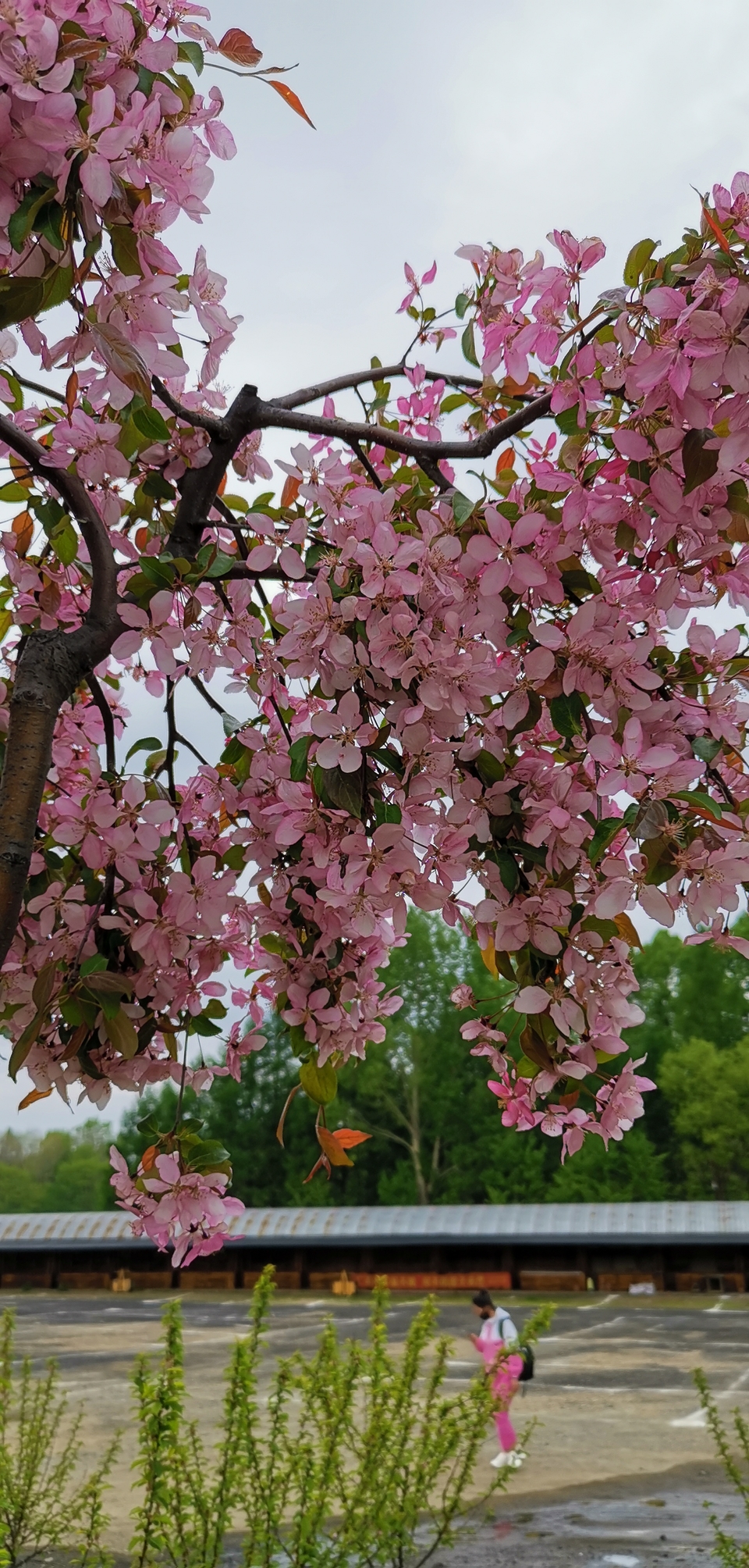 qM4NcSTO3rUAL6QPx8adetc3sfnu0UQYQfhSWMAG_zvoT_CJVA9w-5NiIjm64g6A