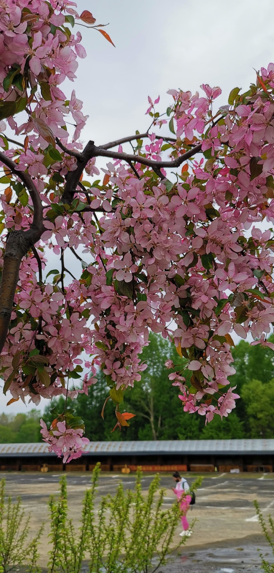 qM4NcSTO3rUAL6QPx8adetc3sfnu0UQYQfhSWMAG_zvoT_CJVA9w-5NiIjm64g6A