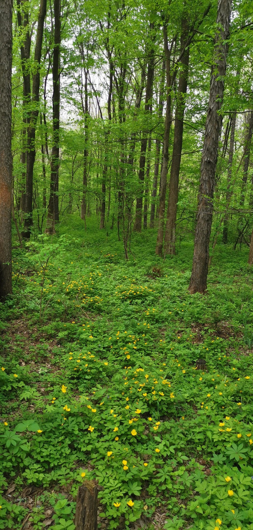 CaBdf4fpdQV6874OBXJS_xemoodjDxofaaHHI_w6XUvurUuhr1mF1xJQ2MP3VMiX