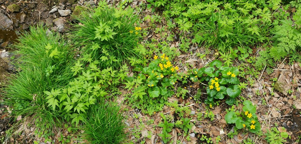 auV_YgjjRvTLAmuX4RsLs-lUDm-aJsr8d2Djl5rhPRqU1Tx-PNoilOnb48QN9dBw