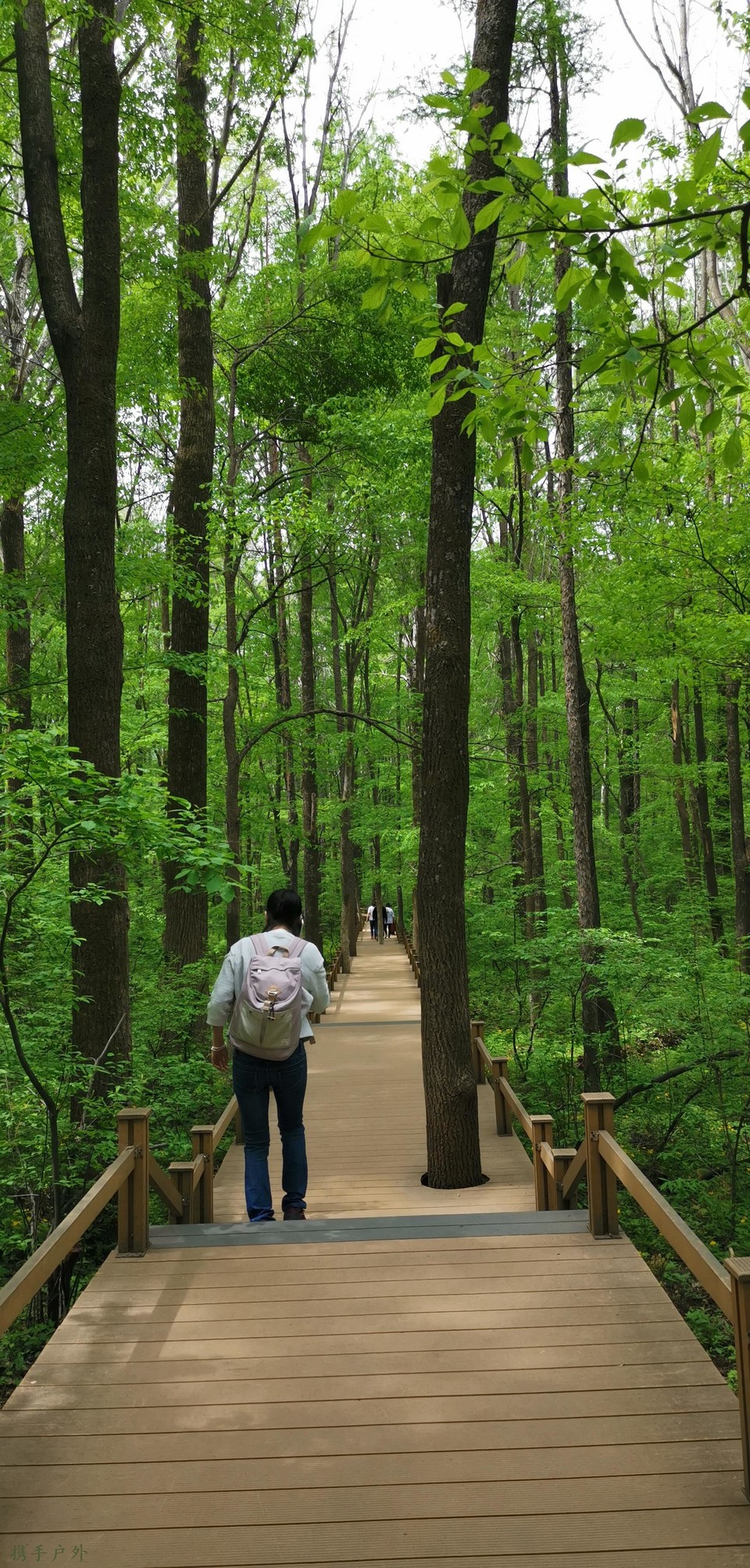 3TeAZ4T7ET6ooY8-ByPM06AGSWTnkalO1nKBmrZlFR5oTTbO_j7dUKZKfs5dTsaJ