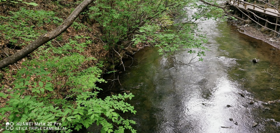 lto1vh4Cs2kQvu4QrwY61ozvU4llRiOEGhJhcvvxs52LX-B--SzOktFXAVKg69FH