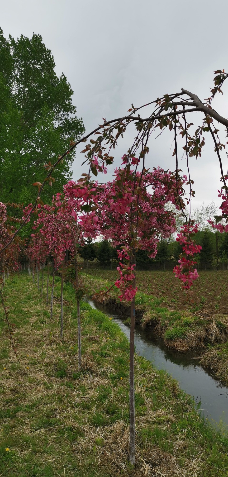 ZUf7WAqgkIHwH4FOqV2CJRGfPqncHTIFAyCxK88zFRxvYdHxF-Se06bsCSbs4IOv