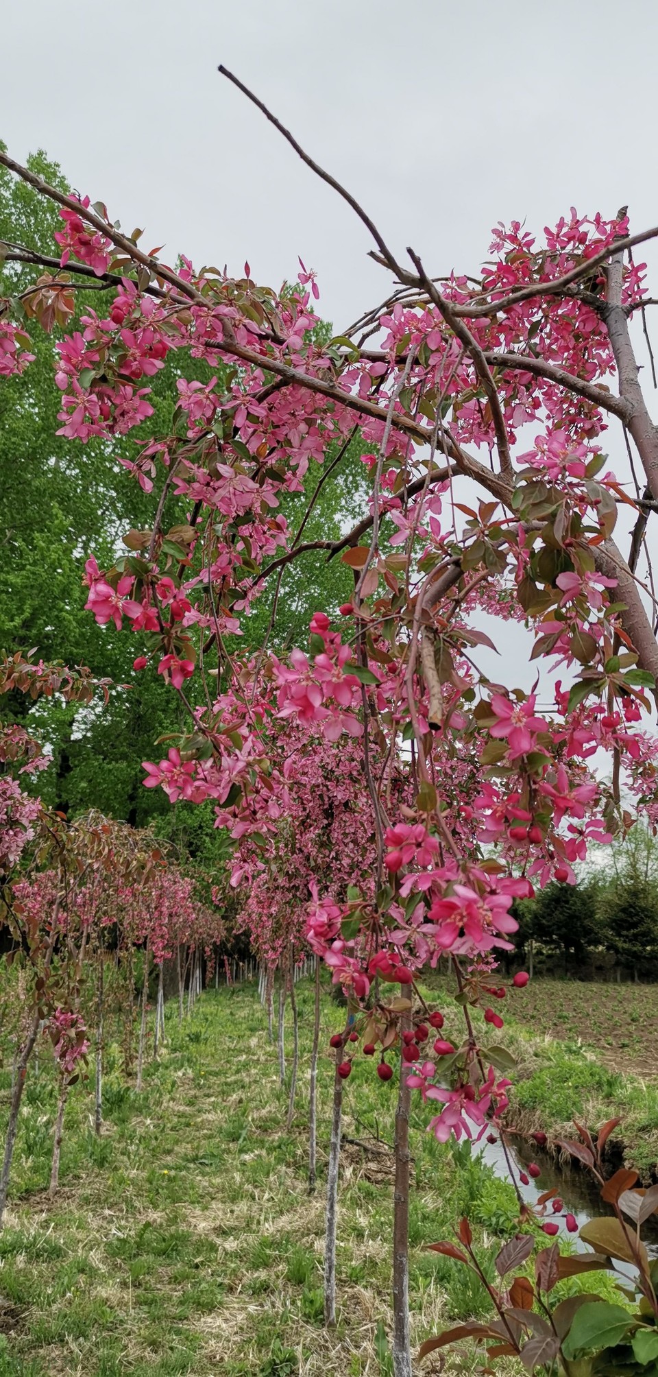 bsztP24YTs5whzMQSfhgx7t3jd_8fUsksAMVsYMeSO4GP7nf-91ThuWheo-9svC-