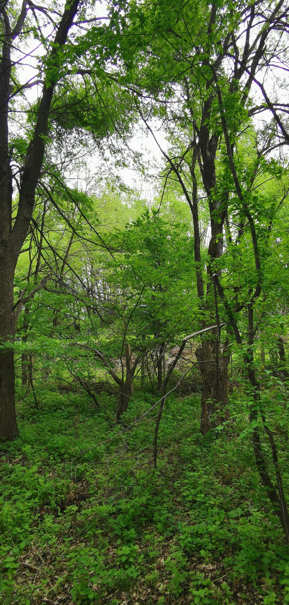 -fzoWow6KhBYrcEmS-ejULNvfZ3ykWxneALl6lssC7jK9pKHhW5b7ER8GMcsPhNo