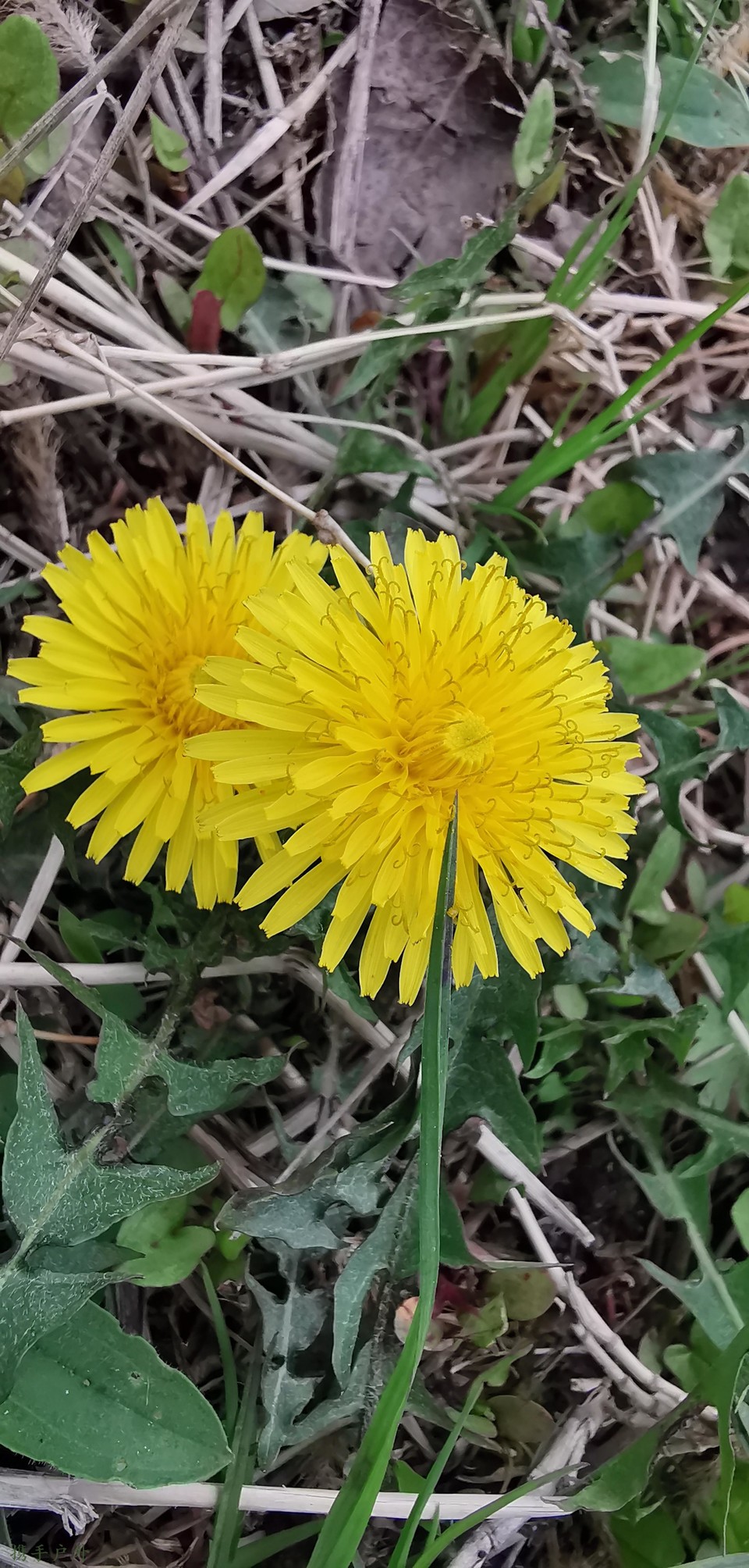 rEICm2P_g1Lwov6GR_hsh8d0fw4nwCArGA1hHfDUCVfx3-CZ9v-TOsM6YTPNPq-z