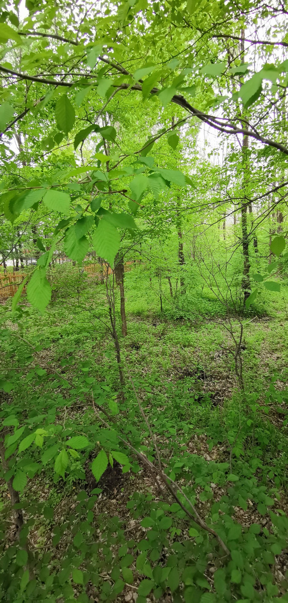 UQvIiuhIFFcT9GoMDLB0JTvrU9vr2jGkwVAu5afKZlNCDeWgKNC9MkM0eV1IHHB1