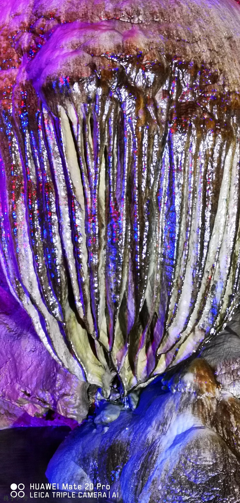 LnL0Bid-XX57ZsjbYE-z3S8BJw6_fxOzWL7jABBn6nf8YEpqZCY_L_qOaYTqWJly