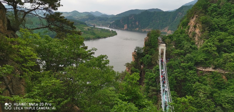 clJ92GvUNa0yGya9mpjV4xKy7xSl0AJypcVhS_afUxlD3ftvnGy5d1MF3dmnaWA4