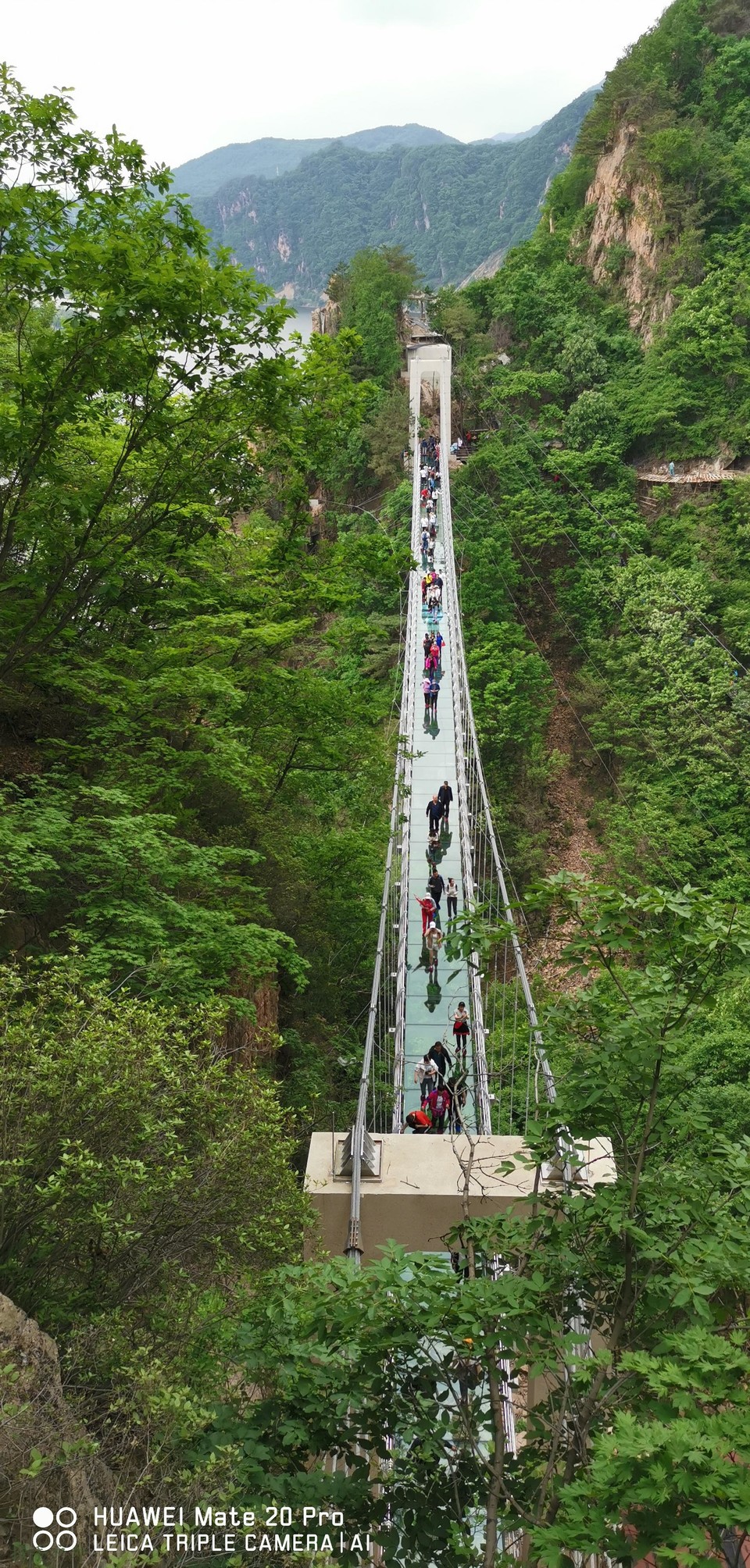 g5mnDvomrJ_oq-AL_wo7gZ9Kemx--4eWNfJijjuAQ0OTQRwCZfYJwWiKzdQbrSk9