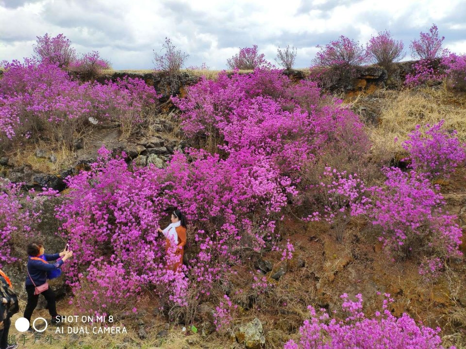 NM3m47fs9TZYh2s5xUdKFG52mpT3q9Ji4gIXjae-DqOUNGit1bVc5O7R8nYizhiP