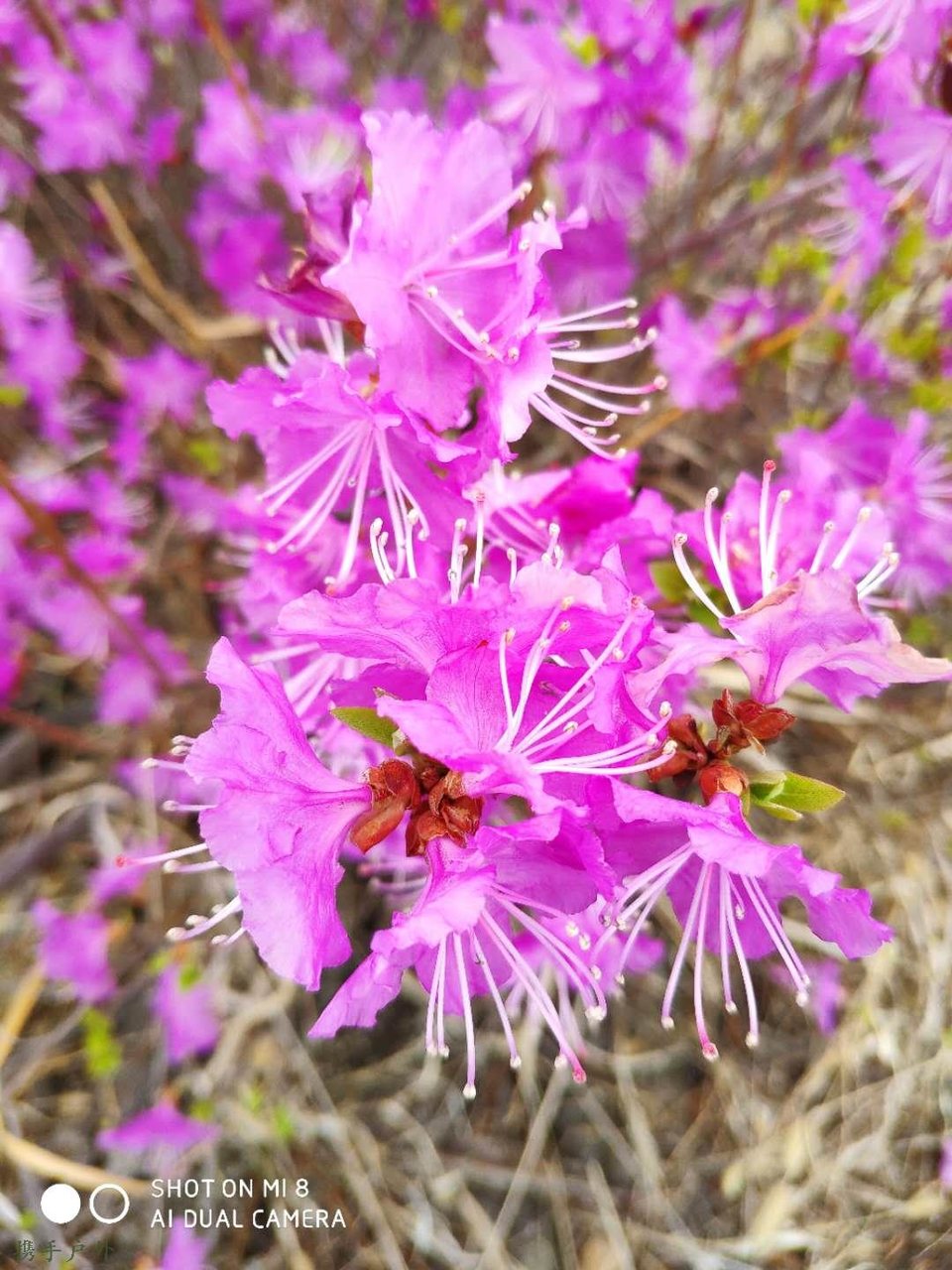 5DlJIS7AaaJXXlxRNMZrjrMhK_EEGcq3Vcpdc4DpJChy-Si6pNwQ5JpqyNrO37Kj