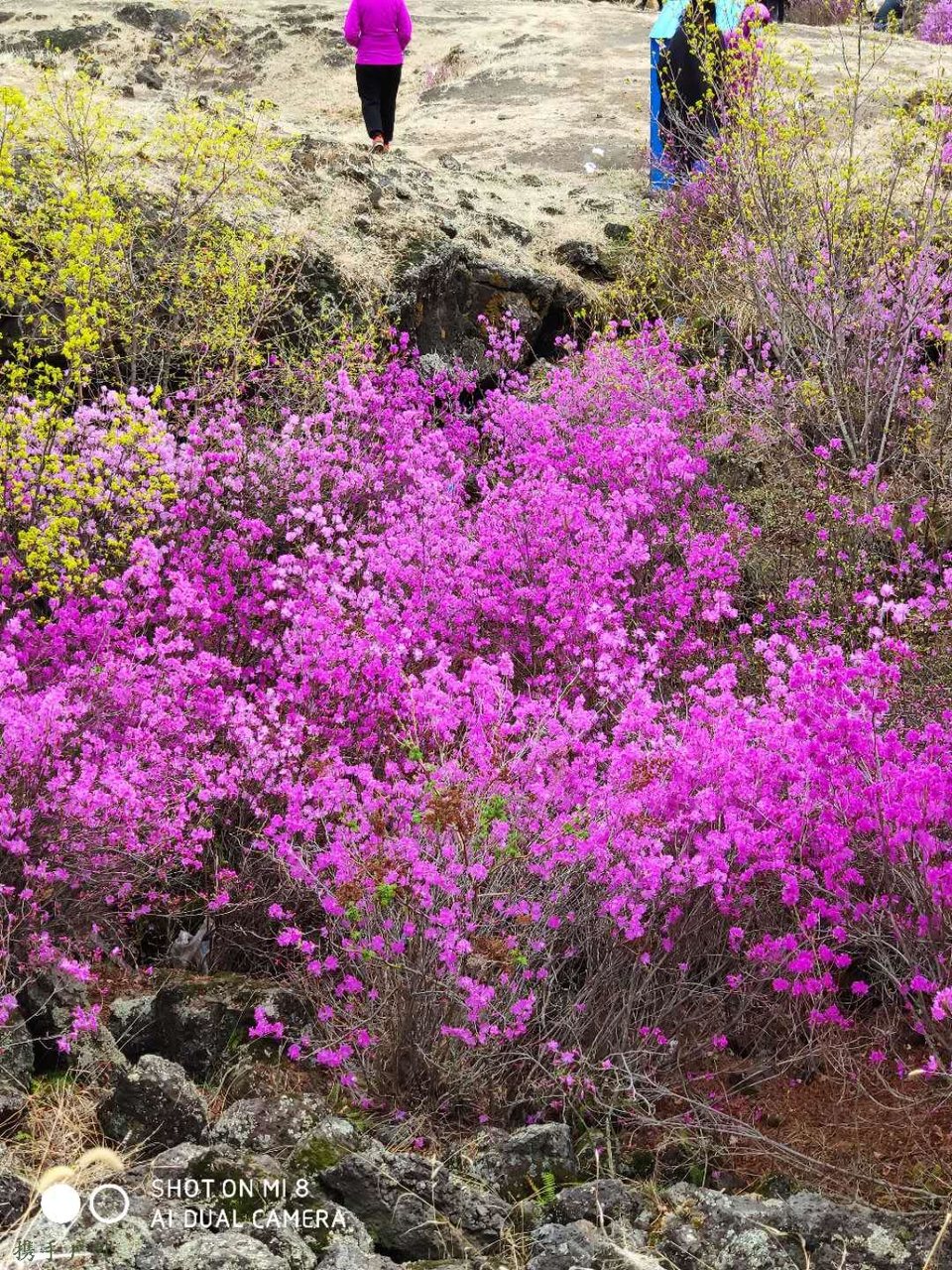 wuLPnFWQa1pOMXDB_3BhuRVjnMOVb5pBsts04b50Ynv6A-hG2RQ4HRIn0iSAsl7H