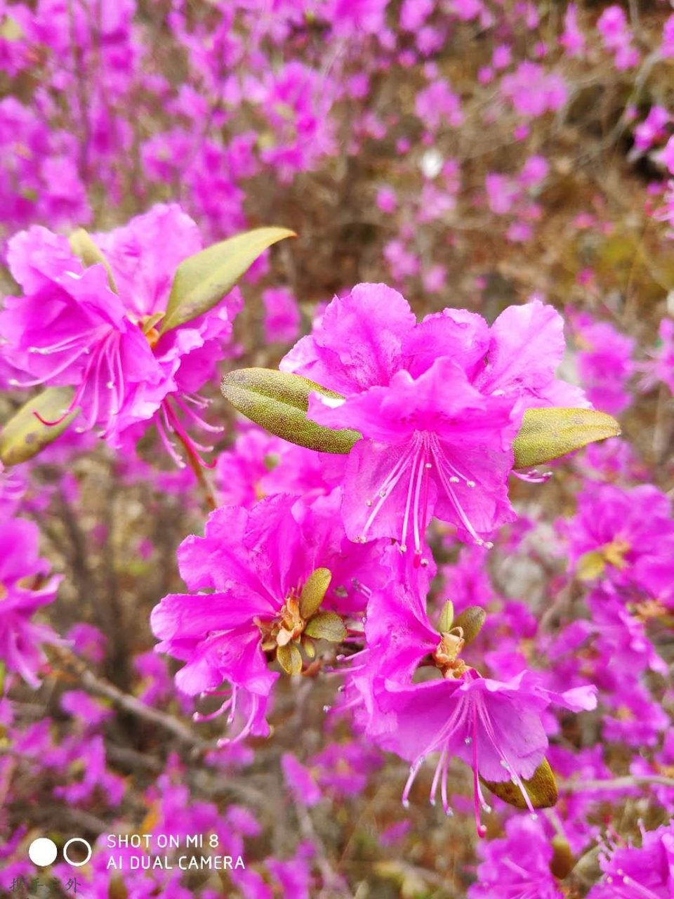 0gW6CdUqhhLC0i_bIw2m9oOxl0iUwbwqTEeJXRc8SNYmzby7lThQ_JOM3zKibtuC