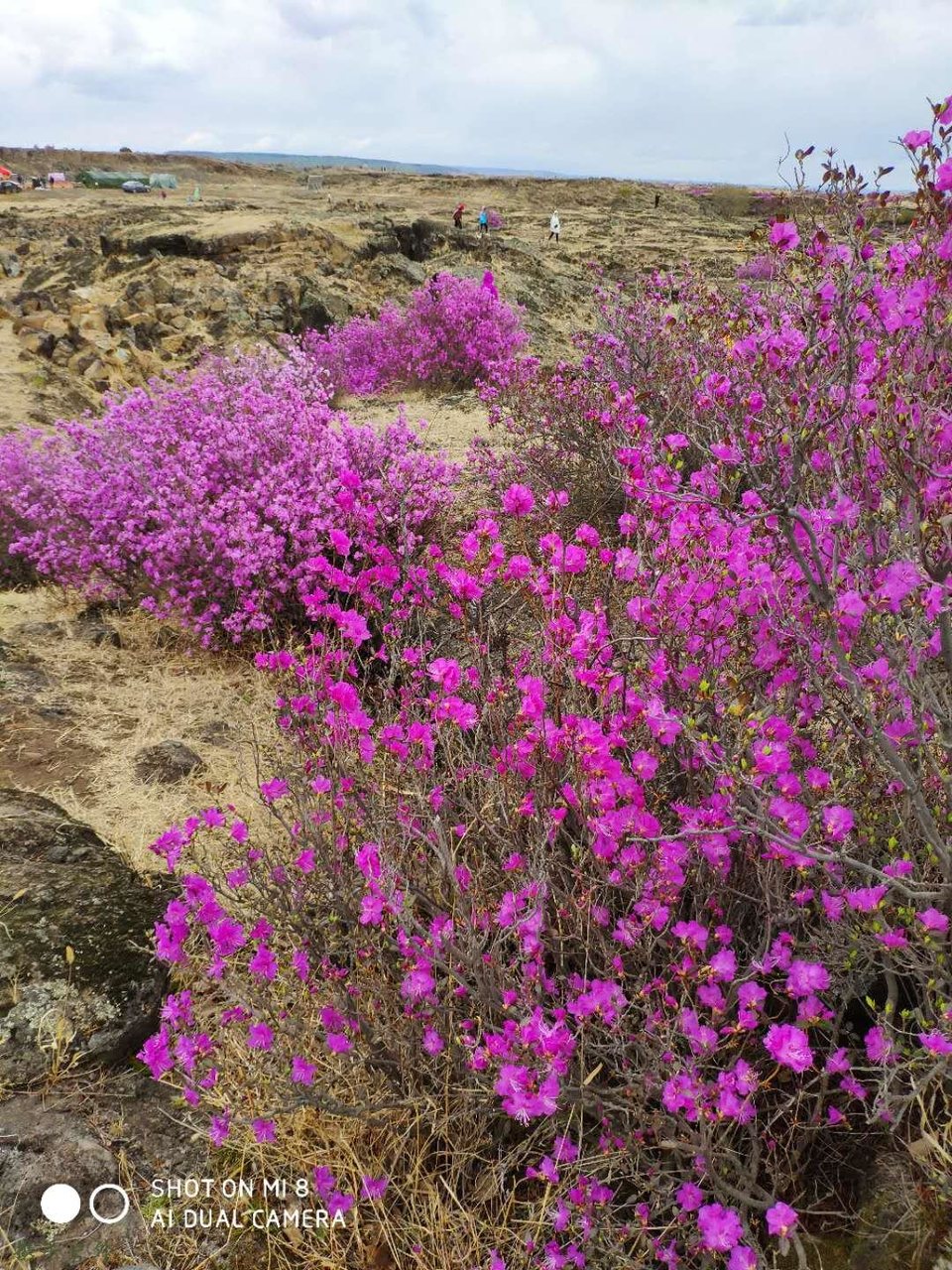 a_VyBcf6Q_-0-0J7o5Kg_Vja6NXbgb6ikxSwuR8IPiqncwCjI9jHzq4FGvO1Ka9V