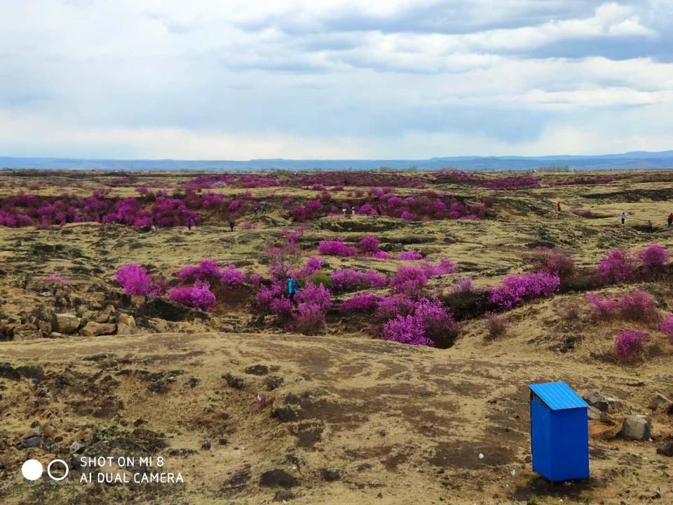 gKKFmwYnGSVAOVoneheC6sL6USzZtMZYqGePfXyJ5Pbfrnsv1skzz8ftNjmAzqwM