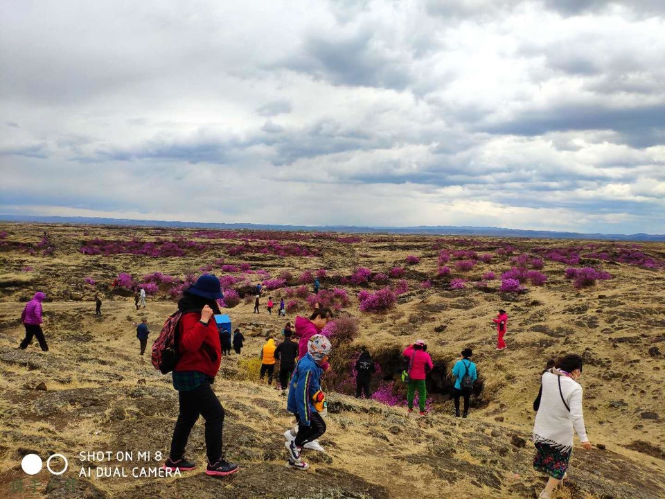 x6VzQe1w7knhfxqgQa7sz_xpcLY55DJQpT9LDtUvVmd5SX8S5e3rqHGVtEk4lRG6