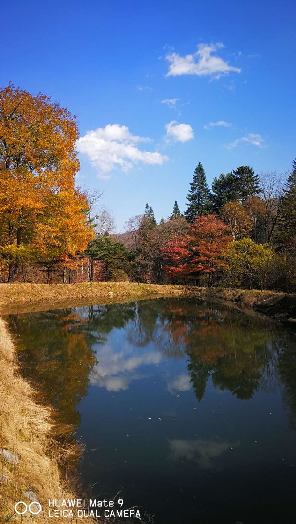 id3IiXHL-C7OP0IDkIvR-yTqxYYwIvAFlVJE5xelU16rFu_PBThYYqoHAAtx3w-V