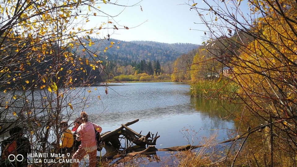 4idsOge7rXK7SWUbT_Zfi4gD0cdXqsy7gvan43Jhc_mD0Pl38Lqsx9m7vmSUwDNz