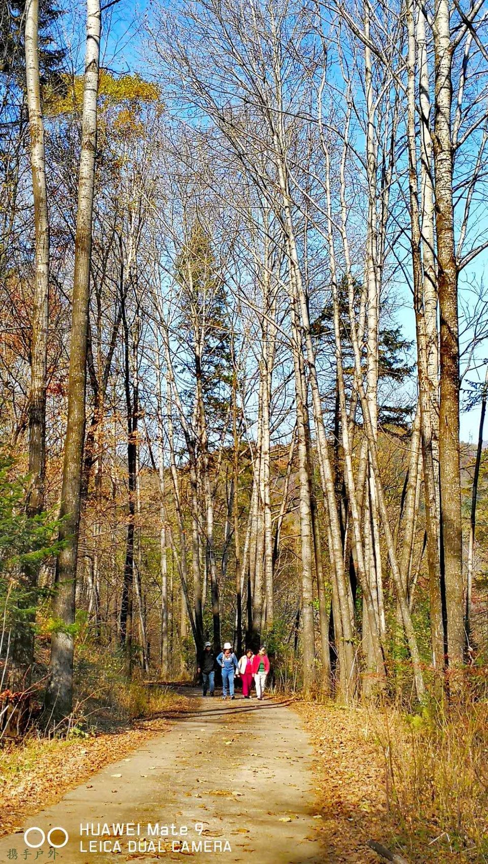 i9cJqyIvi0UdnGIn_Dy93cZIOFwgcdkXCvh53EjXjJE3iouDBN9v7bKbdLYT62Vr