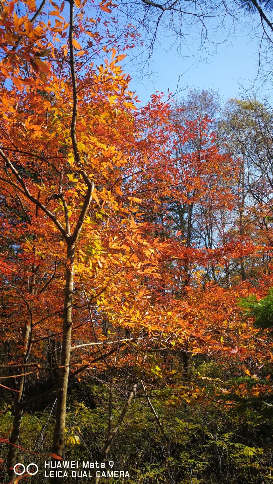 Yc2Ok4pqytCzmzGcHz207u_ezzg7nttWs8swBXXe30BUZIp_75u8JEaZ3taBYRxg