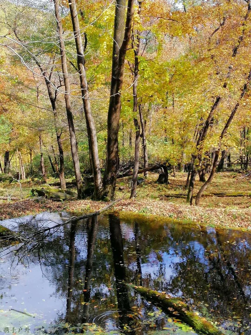 YuWNNBMt4uWXoiHIj5wFwok_Dk9BAd_V86qG6W3pOFgzZ6mqsx-HXKCRIQr0x9rS