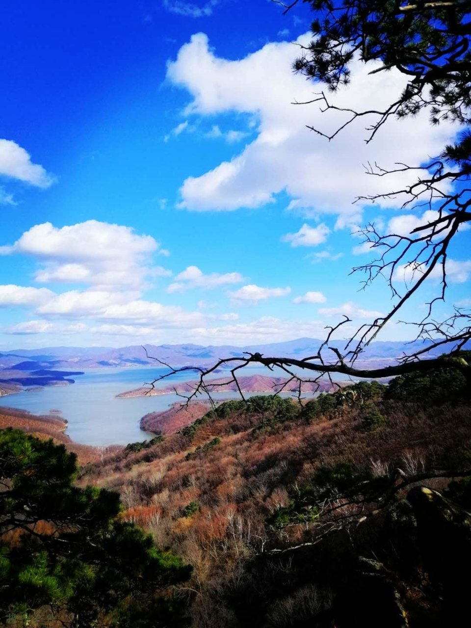 nTd4jNfx2gPLY5XWvF3jufC0JHybr7nPVrbMnrObXTGcf-fKHgssBZc4yV_mO5bG