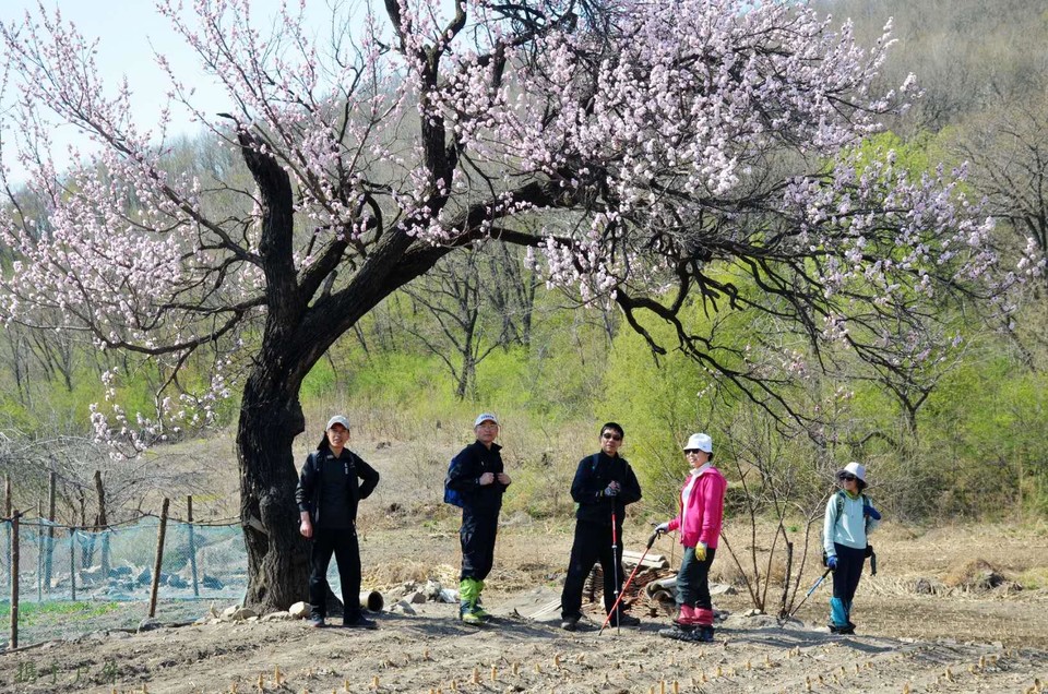 d1Nsoh8r_HnFos8b96lwjj89WV3SngQv3fVeTCPIbQnbGxDrPco-3O0fZHuY3i5S