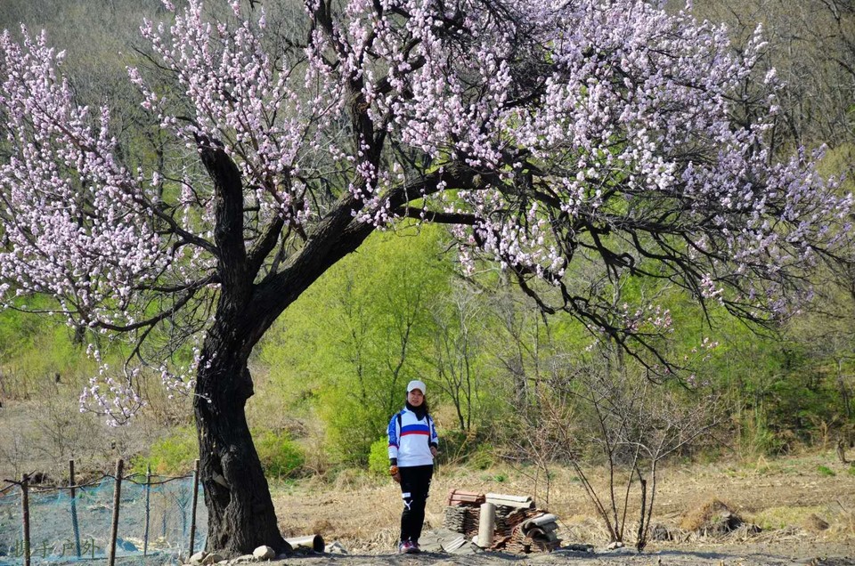 OPX-rdMZsPbVAbF3Yp78gjhjE7QHsYJ84oSKJSIt2oq4Bq19Oog_rfj5Vj5f37fp