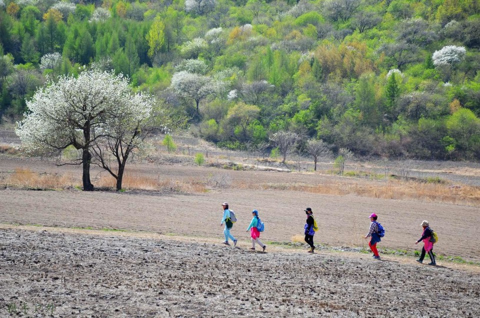 vtWbr7XbOwqwHzKZG2UoJDD5EjQCNIrpT1T57Hrq1s8vzSw2ya8h4S0hB8Uu2IcA