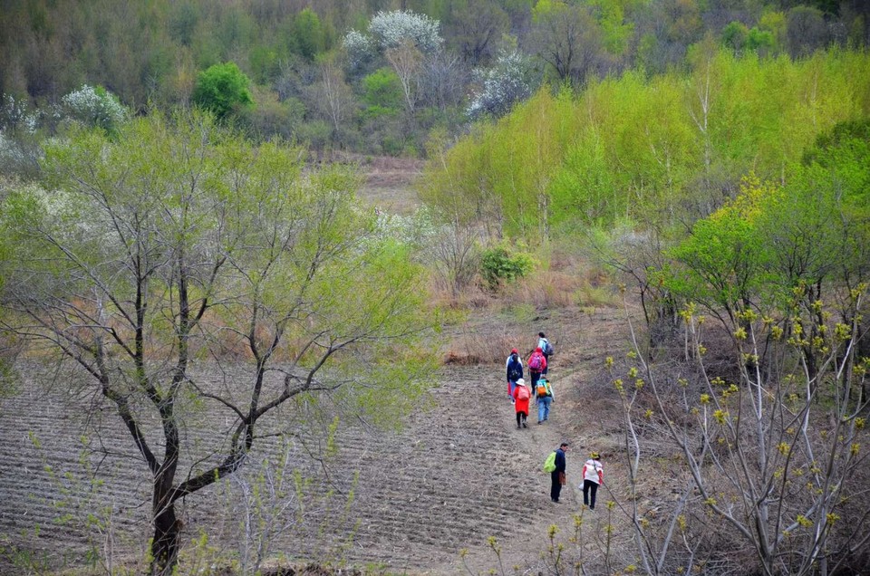 IXBEj6jx15oMQygRaPg_sfTbjW2_zcQh1CAWx4rFZdl5tODrzSzEtk2CP7V3Odtp