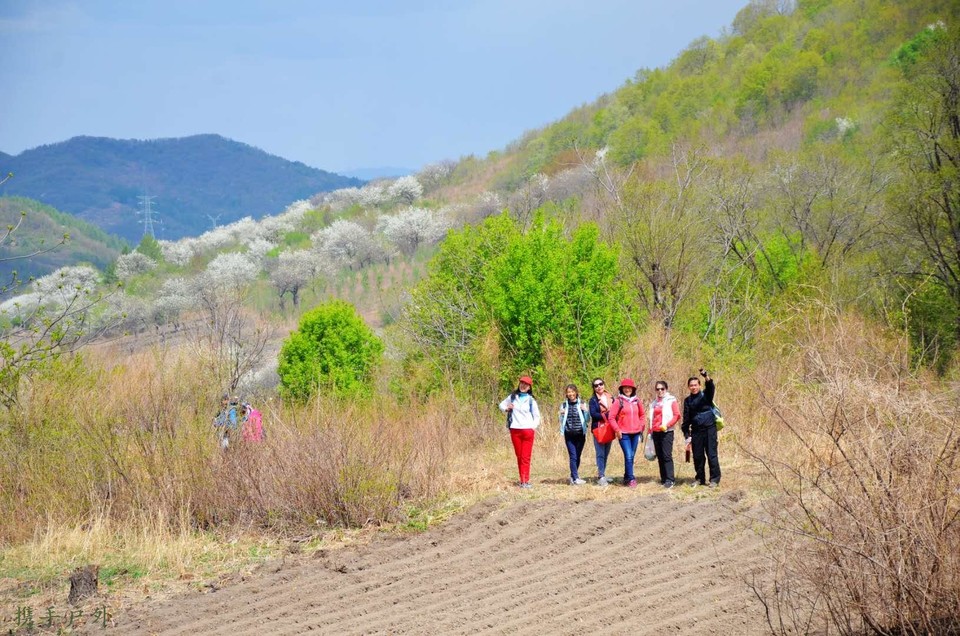 Y5PDYw1fbZPPmUFBYpkNHUyqzQP2qDys6AThIcs6SYT70W5u9OsC2g3hx09GOTX8